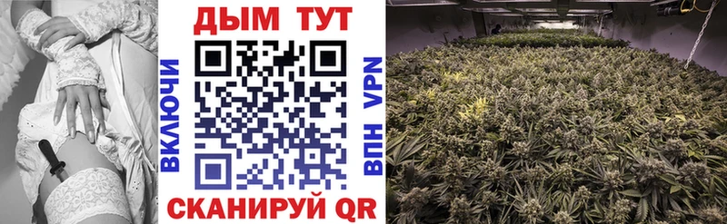 Бошки марихуана THC 21%  Пустошка 